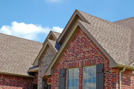 How to Tell What’s Growing on Your Roof and What to Do About It
