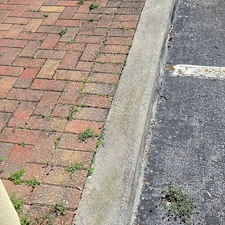 Expert-Commercial-Pressure-Washing-in-Daytona-Beach-by-Port-Oranges-1-Pressure-Washing-Company 3